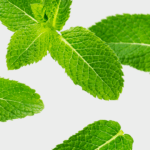 mint-bg